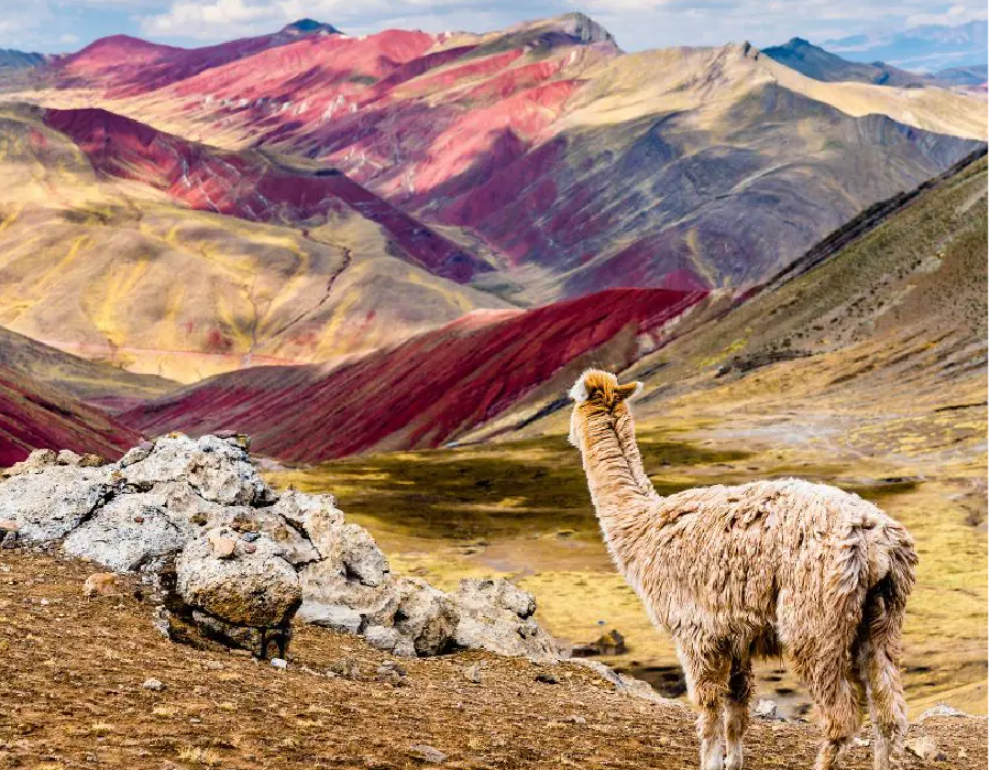 Qué significa vestir una prenda con historia